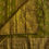 Thumbnail: Prettiest olive with antique gold zari work on jute silk with rich zari weave 