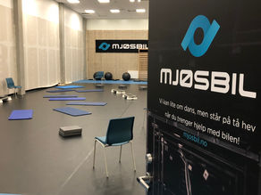 MediYoga - Yoga som medisin 8 ukers kurs i GOBB hallen, Vind il, Gjøvik