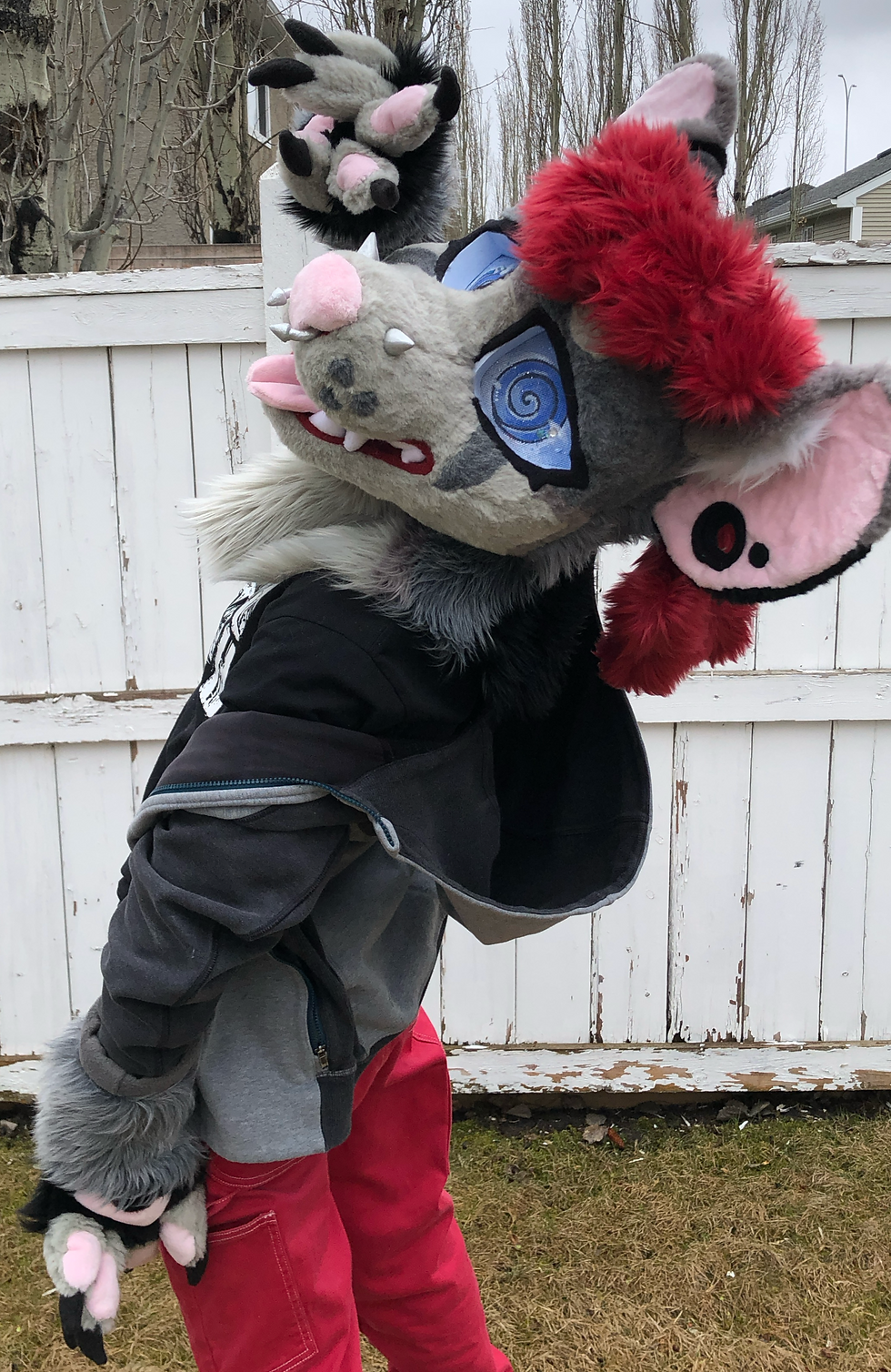 Quinn Partial