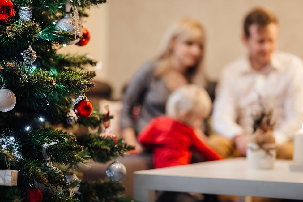 Hectic Holiday Survival Guide PelvicSanity