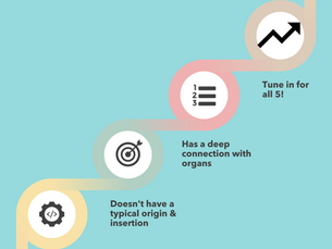 5 Ways the Pelvic Floor is Different