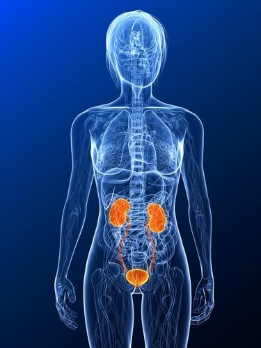 IC is a Bladder Condition