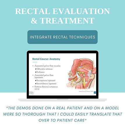 Rectal Course for Pelvic PTs