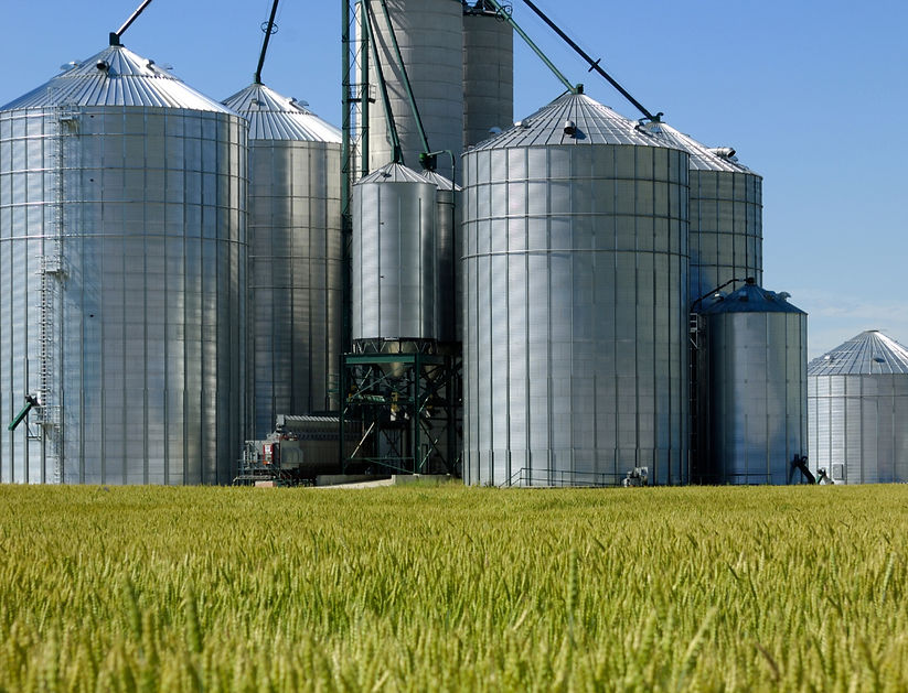 CASE STUDY HSB VF (2)_edited.jpg