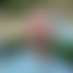 John Balchunas, Workforce Director, NIIMBL