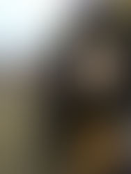 Pakefield to Southwold