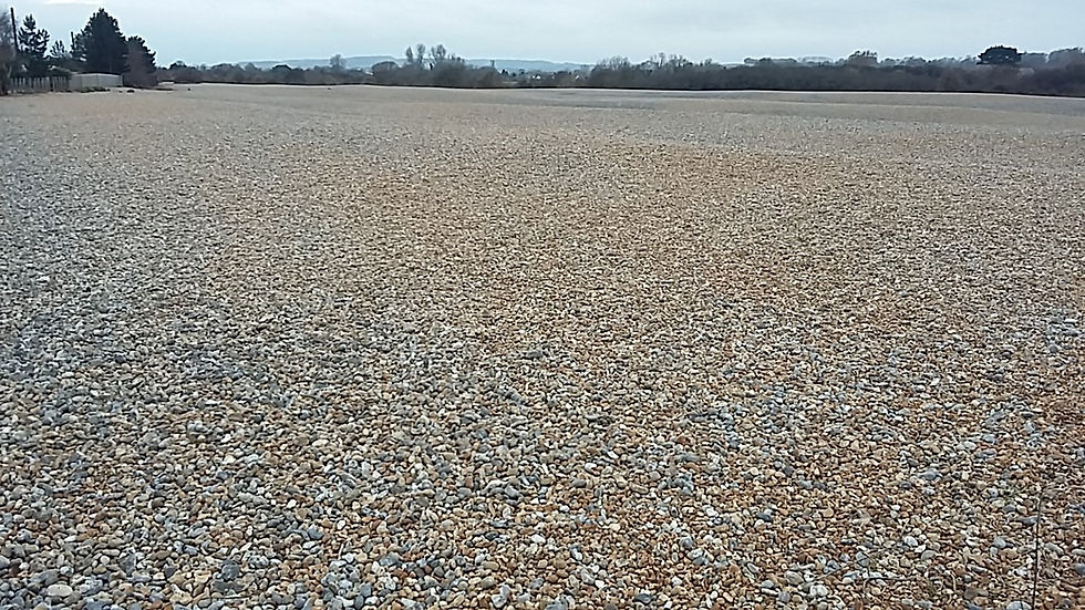 Winchelsea Beach – a sea of pebbles accumulated over hundreds of years