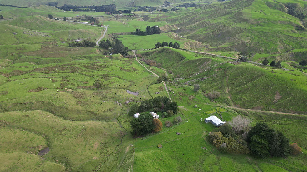 DJI_0065.jpg