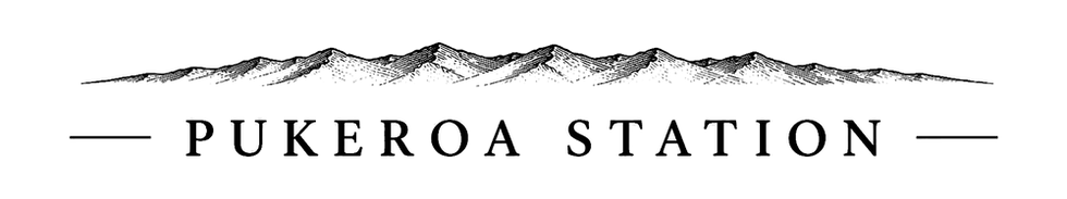 pukeroa_station_black_transparent_1000px.png