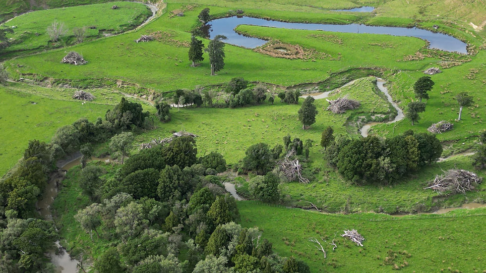 DJI_0068.jpg