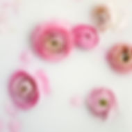 parfums_bio