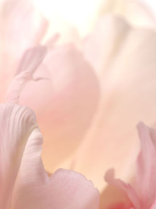 Diffusion de parfum professionnels