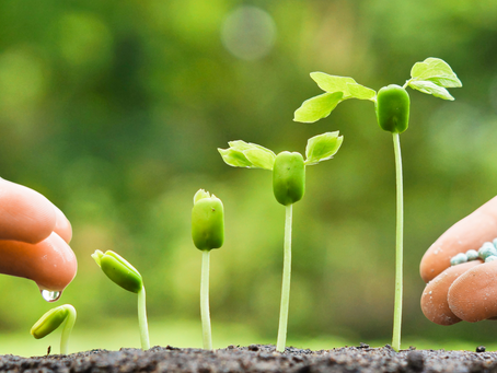 Are you growing?