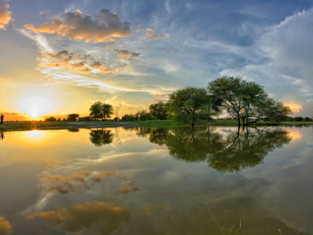 Harness the power of reflection