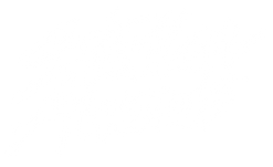 stellar-award-2017-image copy.png