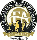 cfa logo.webp