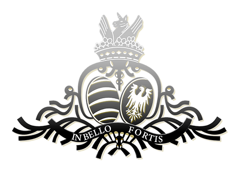 ©GEOFFREY DHELLEMMES.png