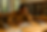 9123C4C0-C581-413C-BFF5-56E1334B6790.PNG