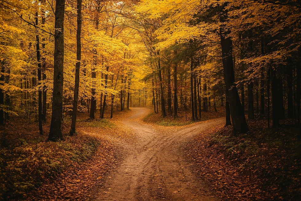 Un bosque en un cruce de caminos que implica tomar decisiones conforme a la necesidad de cambio vital