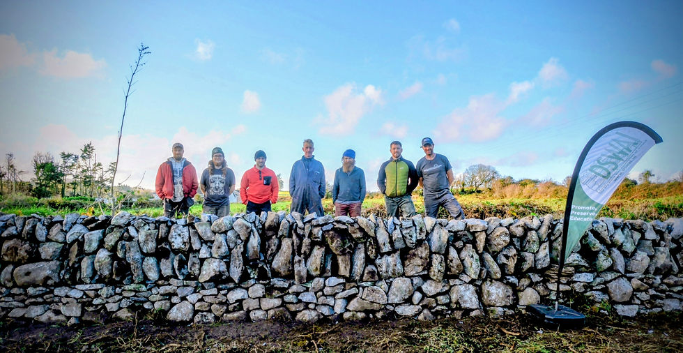 National Built Heritage Service of Ireland & DSWAI Workshop, Connemara, November 2025