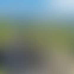 OPEN CALL for summer school in Greece 15th June - 3rd July 2026