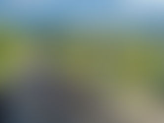 OPEN CALL for summer school in Greece 15th June - 3rd July 2026