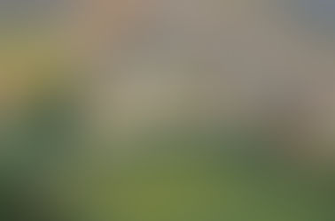 ERASMUS+ Heritage Leaders and Volunteers 2026 Call for Expressions of Interest