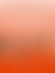 Christmas Carols on Wallacewell Road - Wed. 18 December, 6-8pm