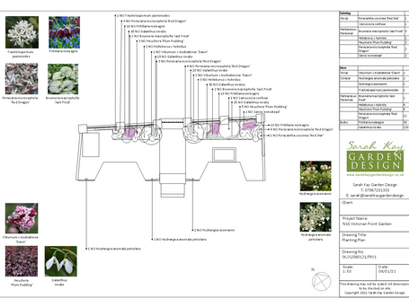 N16 Victorian Front Garden Planting Design