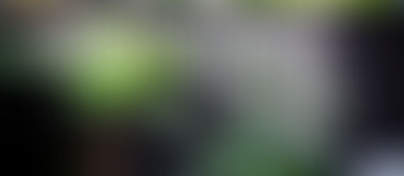 Key features of a New Orleans Courtyard?