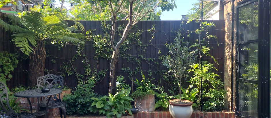 My E12 New Orleans Style Courtyard - 6 months on