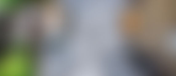 How to create a beautiful garden from an awkward courtyard space - My E5 Courtyard Design