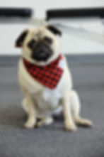 D90A1778-Recovered copy