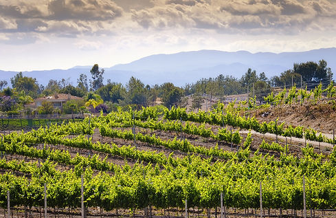wineries near blanco tx