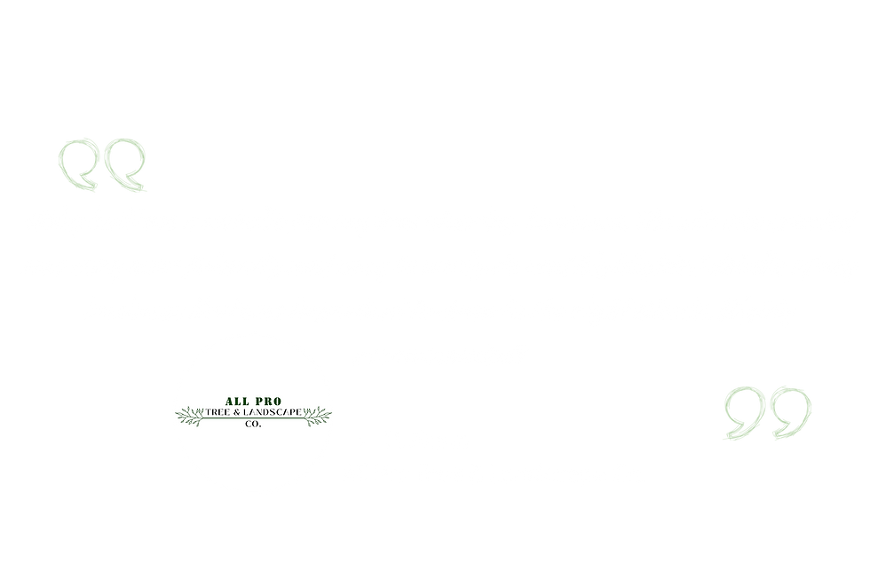 Logo & Website Creation