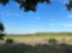 Pasture Area