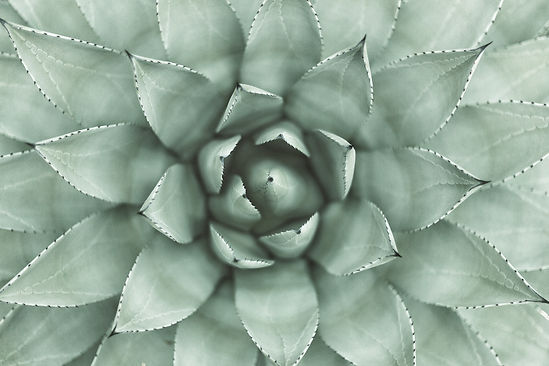 things to do wimberley tx facials on the square