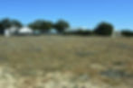 Lot View 1