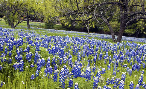 towns and cities near blanco tx