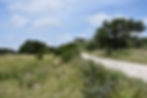 Private Road & Land