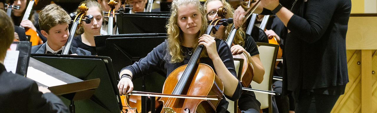 vmea-strings.jpg