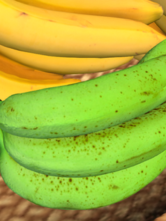 green bananas.png