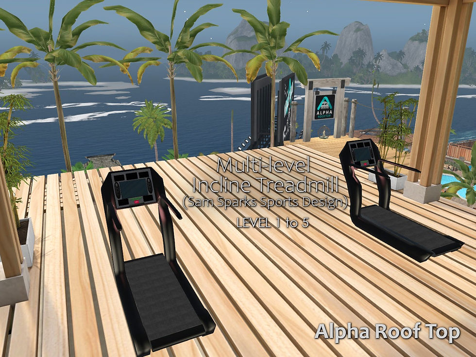 .. two treadmills at the roof-top