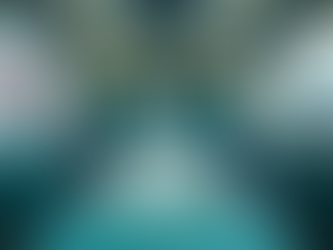 Comprehensive Guide to Medical Stretcher Transport in Broward County