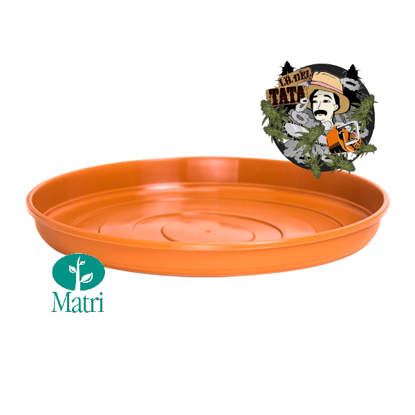 PLATO REDONDO 12 CM MATRI