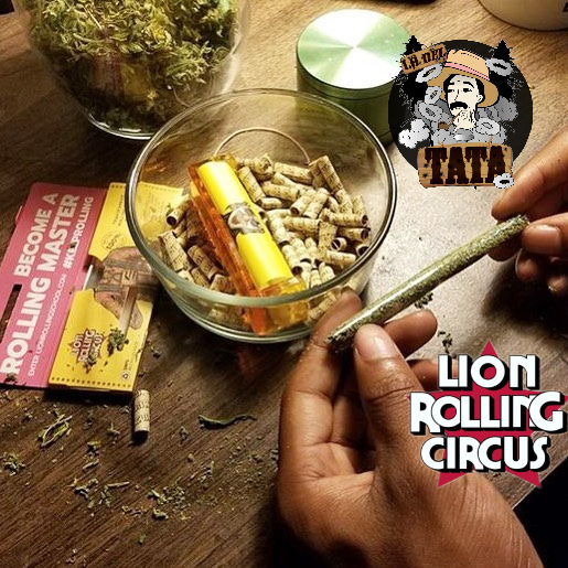 Miniatura: LION ARMADOR REGULAR ACRILICO