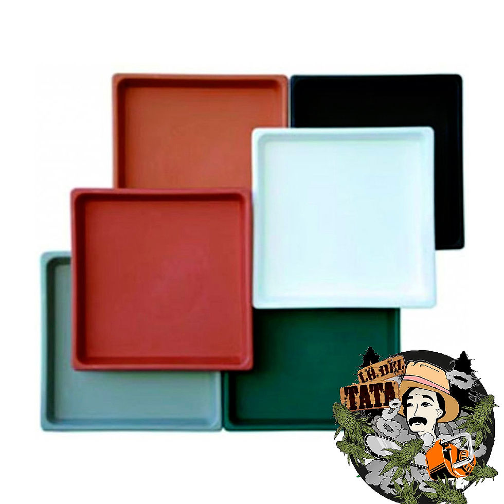 Miniatura: PLATO CUBO 22x22 CM MATRI
