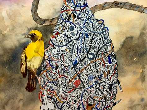 Disasters & Climate Change