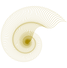 file (2)_edited.png