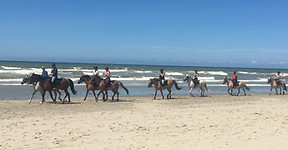Balade equestre baie de somme.JPG
